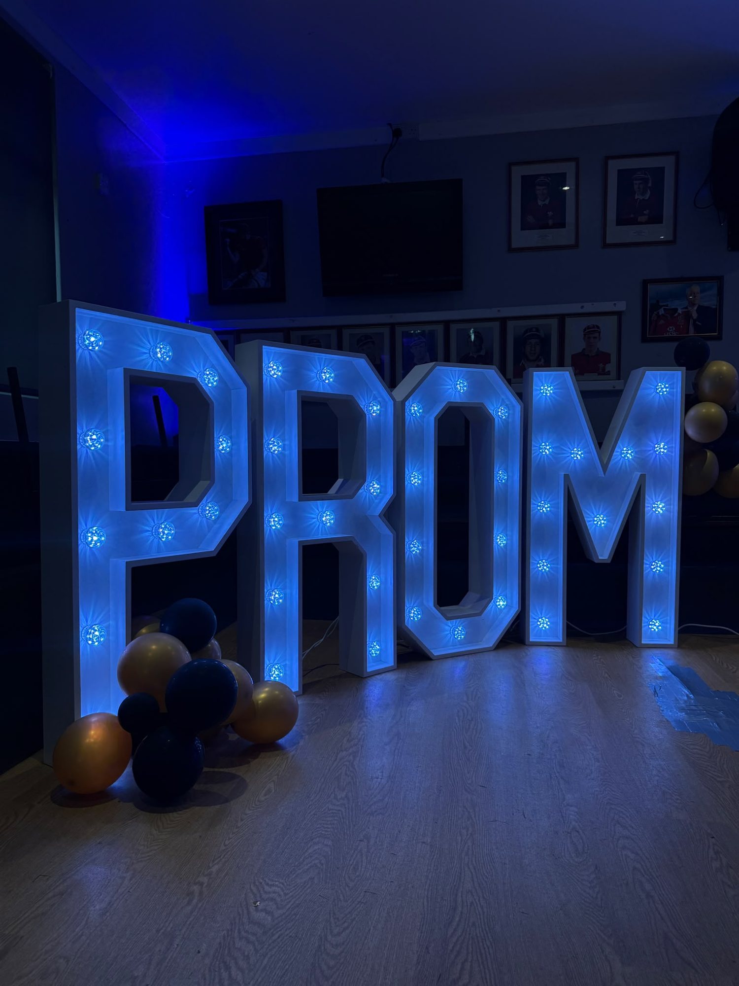 4ft Prom Letters